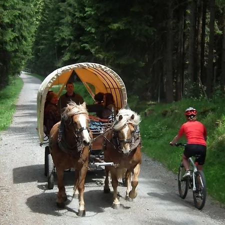Maisonette Holiday Fichtelberg דירה אנברג - בוכהולץ